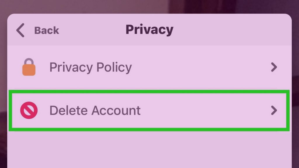 Delete Houseparty Account on iOS